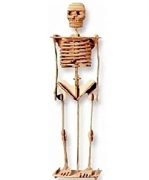 Ahşap 3D Puzzle İskelet Maketi