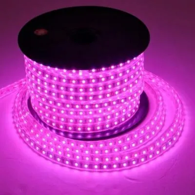 Neon Led Pempe Renk 5 Metre -12 Volt Uyumlu